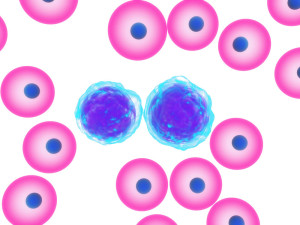 Hemoglobinopathy With Target Cells