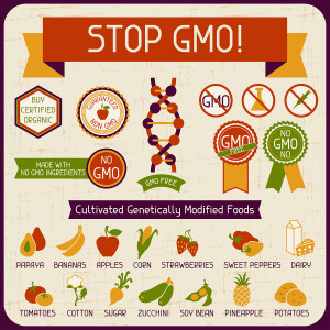 Genetically Engineered Foods (GMO)