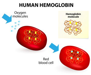 Hemoglobinopathies (Oxygen Transport)