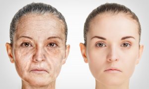 The Biology Of Aging