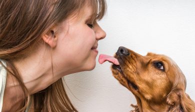 Dog Licks May Not Be Harmless