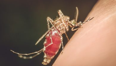 New Way To Diagnose Zika Virus