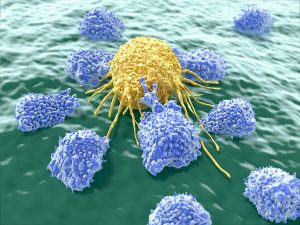Testing A New Approach To Curing Cancer