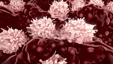 A Protein that Protects Bone Marrow Stem Cells from Infection