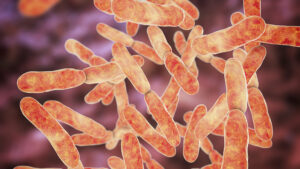 Gut Bacteria Interact with Vitamin D Blood Levels