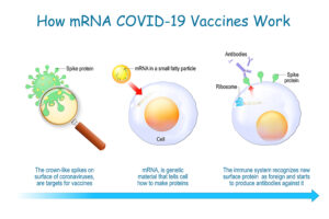 Covid Infection combined with Vaccination Provides best Protection