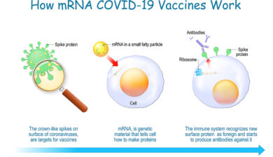 Covid Infection combined with Vaccination Provides best Protection