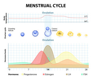 Girls Are Getting Their First Period Earlier